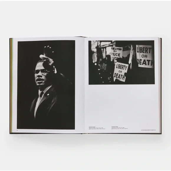 PHAIDON - GIANTS Art Book - Picture 9 of 16